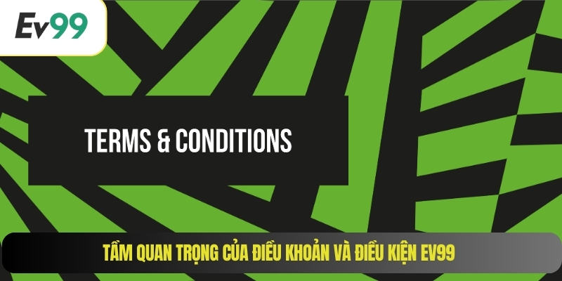 Tầm quan trọng của điều khoản và điều kiện EV99 
